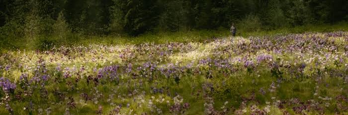 thatgirlfelicee's profile banner image