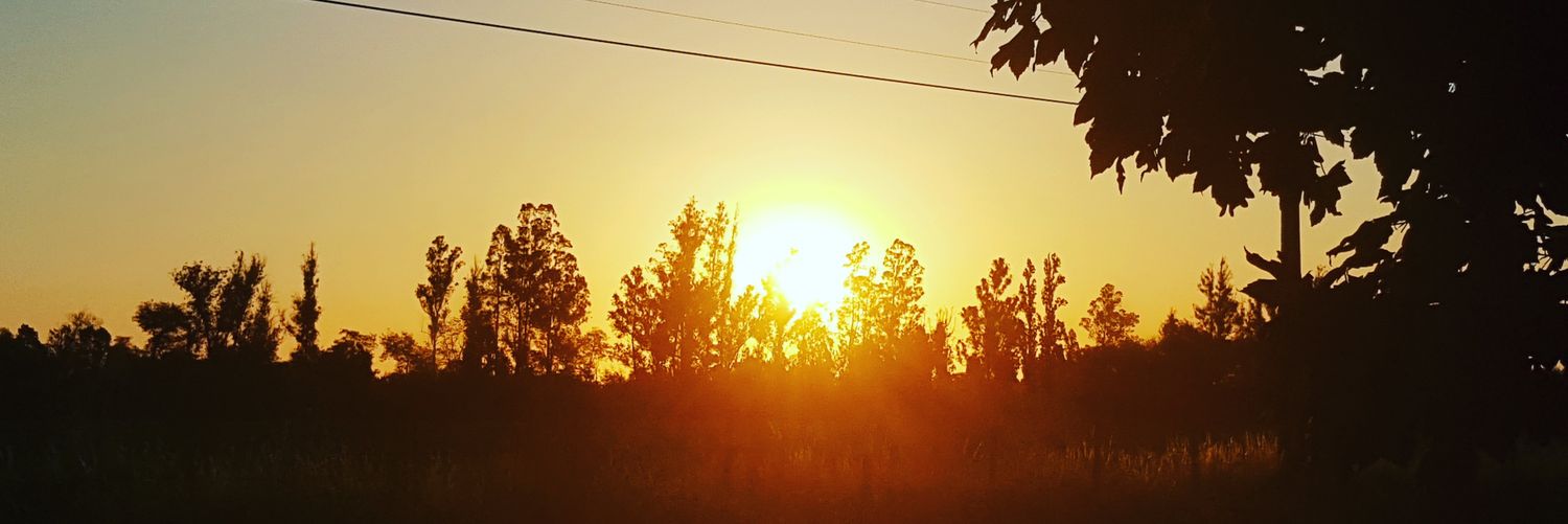 greyesc_01's profile banner image