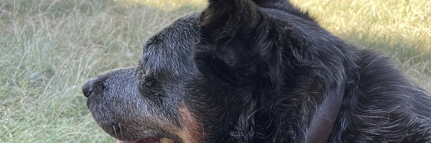 Julie Parnell banner