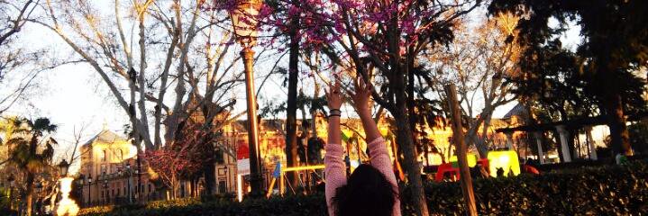 ada_sak's profile banner image