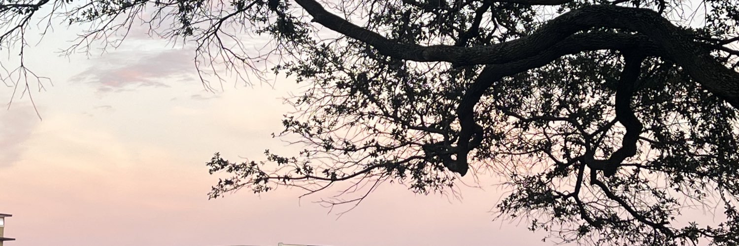 bbbloss's profile banner image
