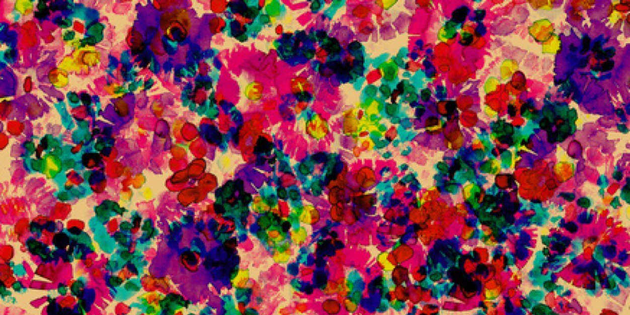 strawbrolly's profile banner image