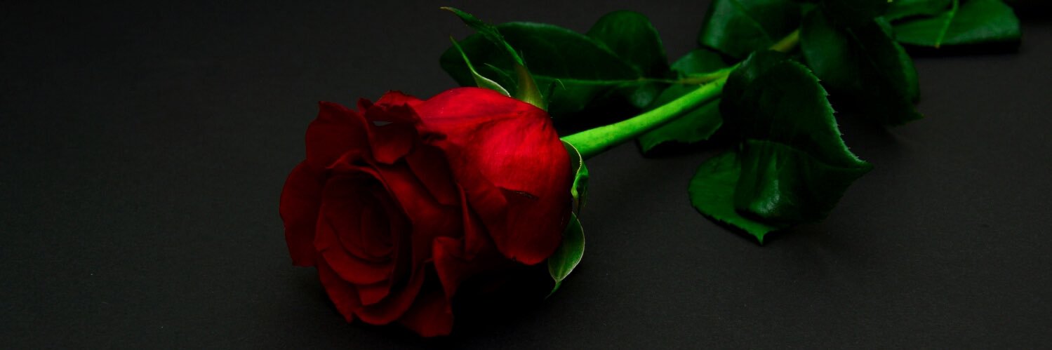 筑 banner
