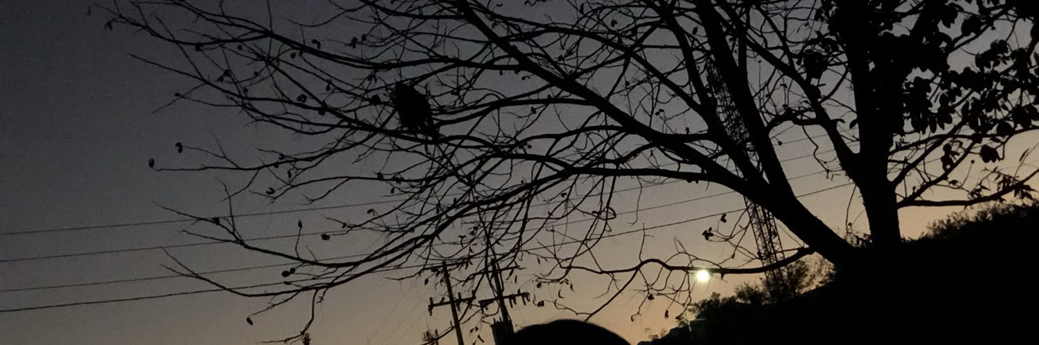 rcemma_'s profile banner image