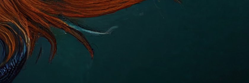 Rochelle Arellano banner