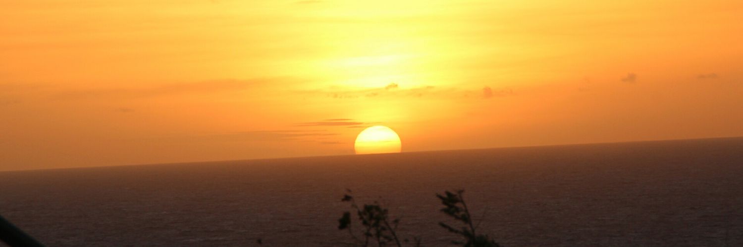 paramithauniq's profile banner image