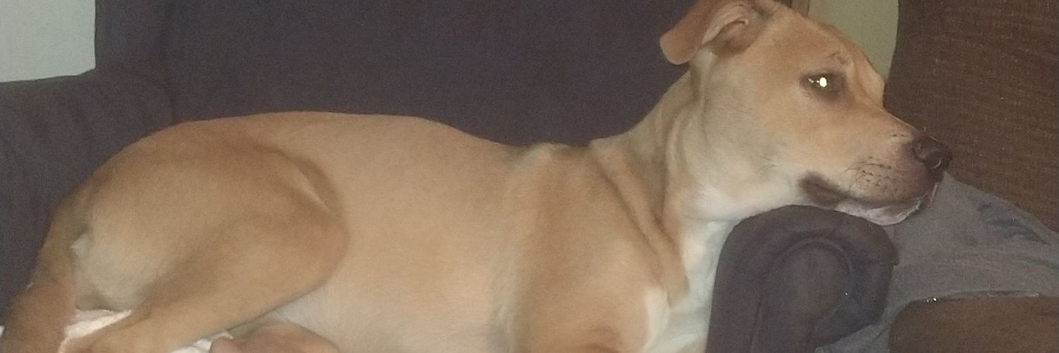 IversenBen's profile banner image