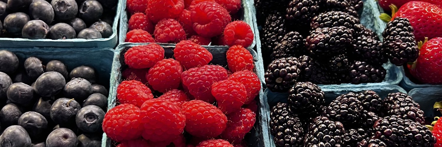 Carol Sloan, RDN, FAND banner