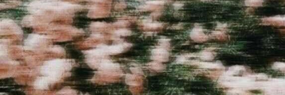 ؘ banner