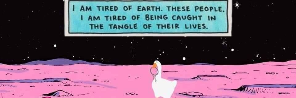 meredactyl's profile banner image
