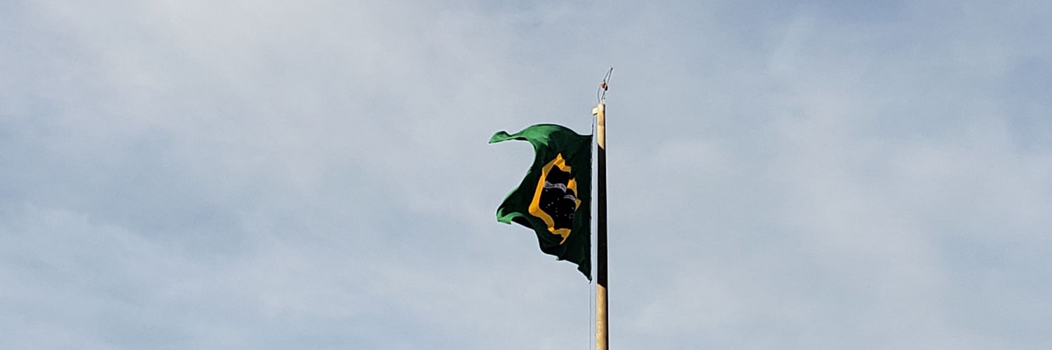 o guaxinim falante banner