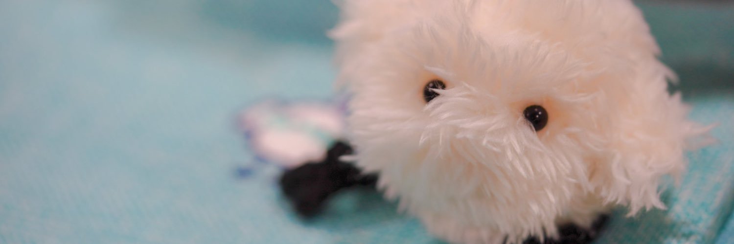 JaoPome's profile banner image