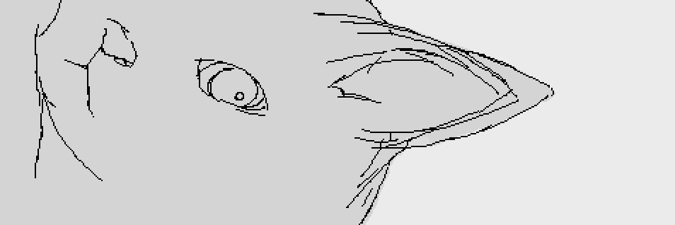 ᴅᴏᴛᴘʏᴄ banner