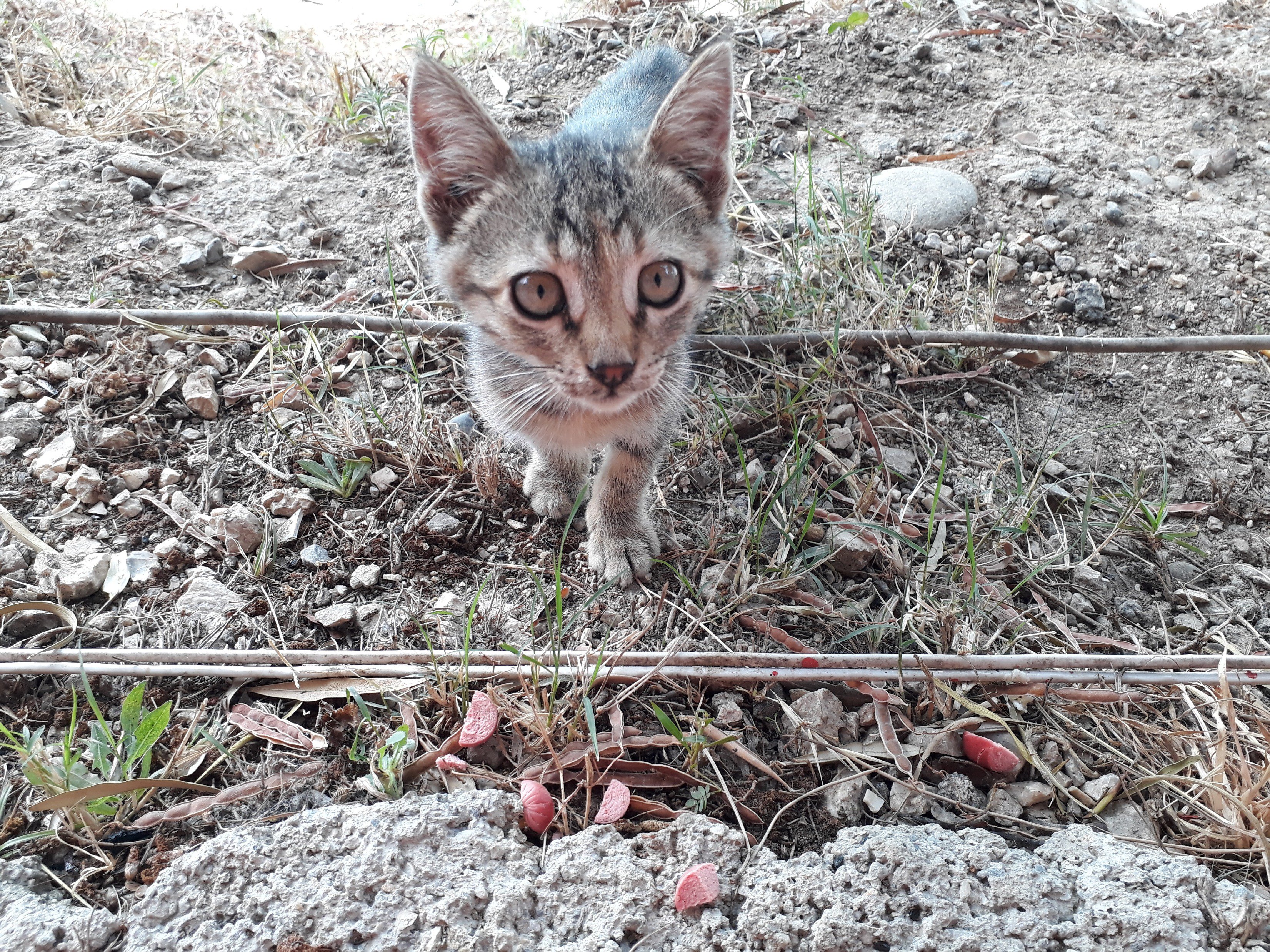 ferhatdicle's profile banner image