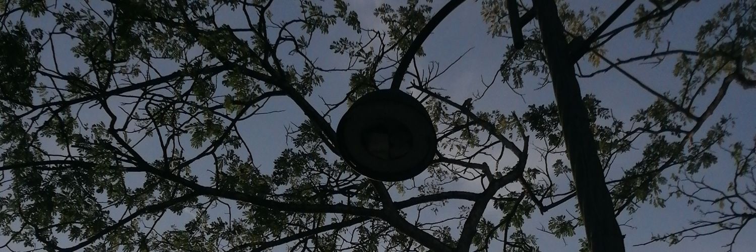 nr_eyman's profile banner image