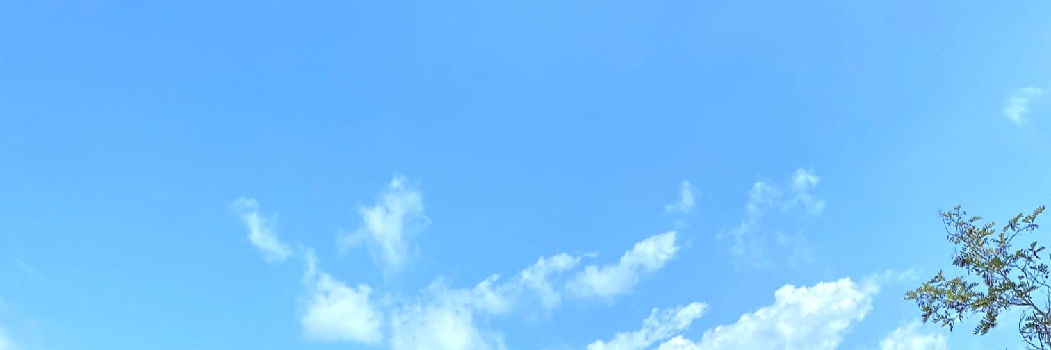blgnuyukkk's profile banner image