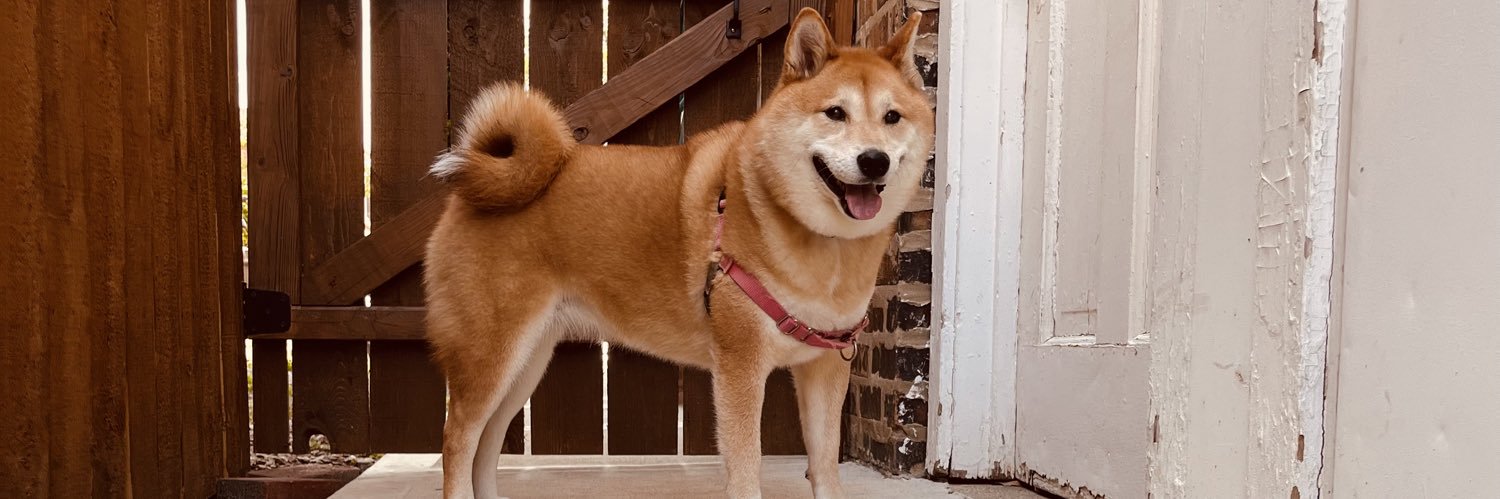 ForeverNem's profile banner image