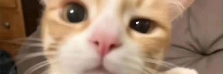 Jimmigo__'s profile banner image