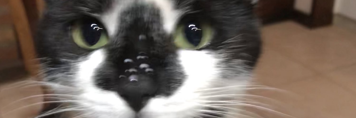 CasasFlo's profile banner image