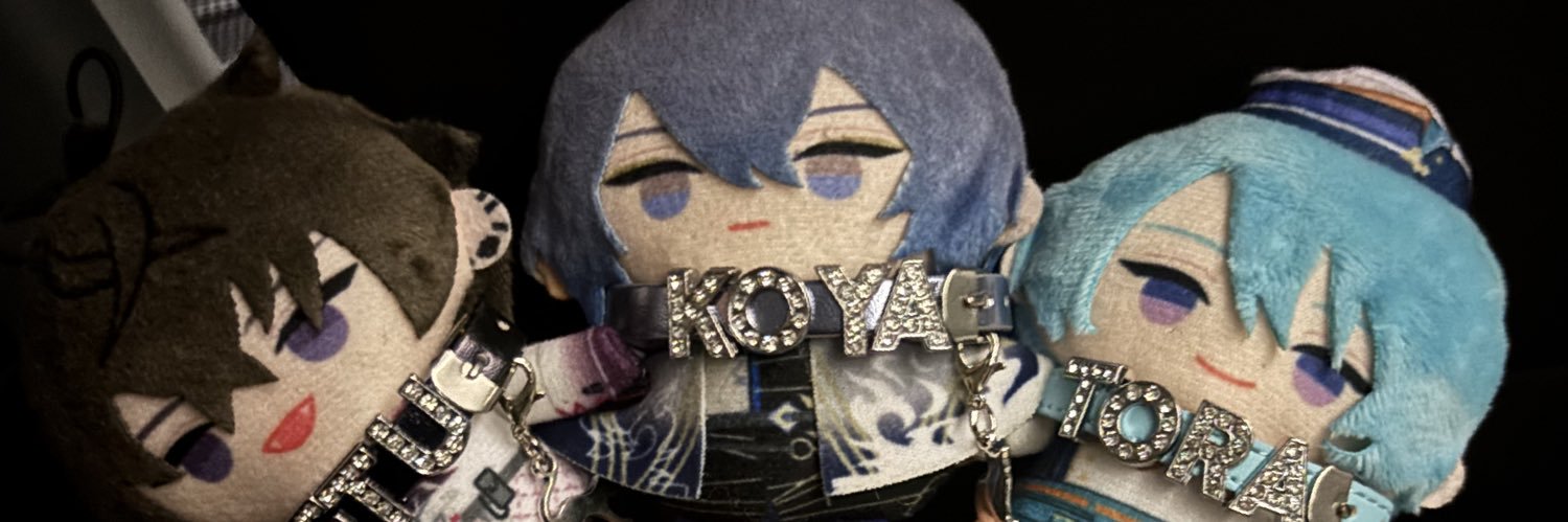 ﾎﾆｬ･:* banner