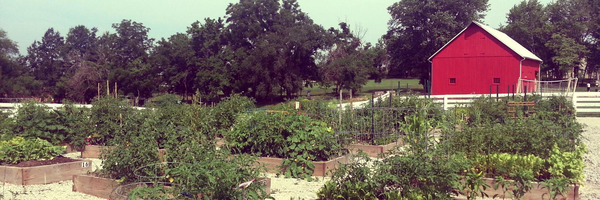 Chesterfield Patch banner