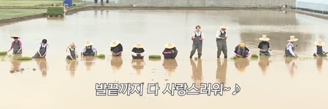 717w_w's profile banner image