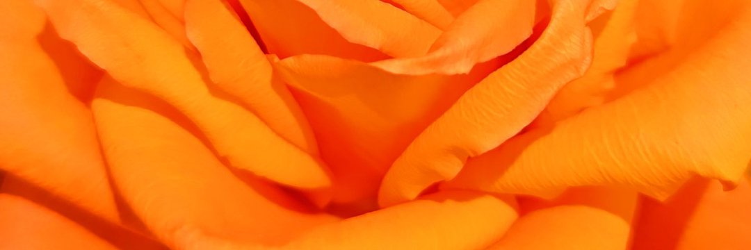 mi_bsndsk's profile banner image