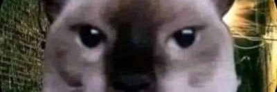 ✧˖°Tiny Bug°˖✧ banner