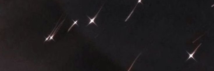 MiniMinariMoo's profile banner image