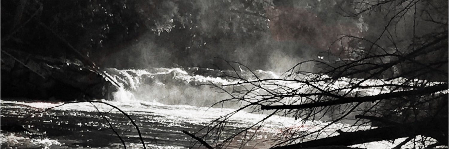 GailStoneBower's profile banner image