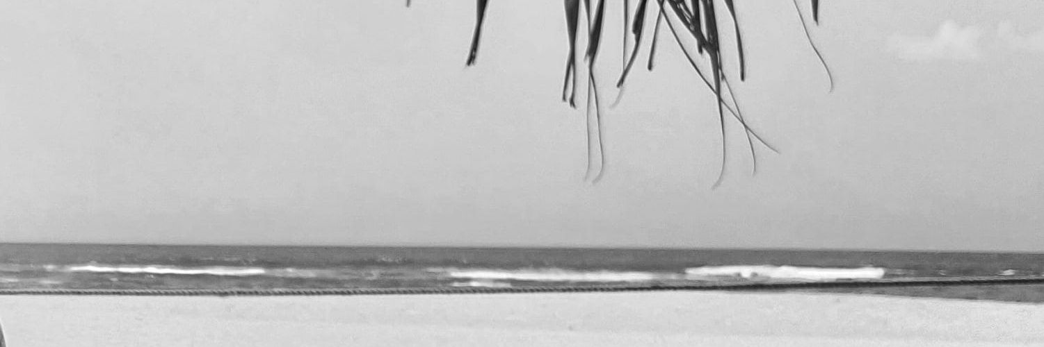 SSVtweetMe's profile banner image