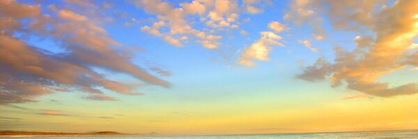 NewSunSEO Profile Banner