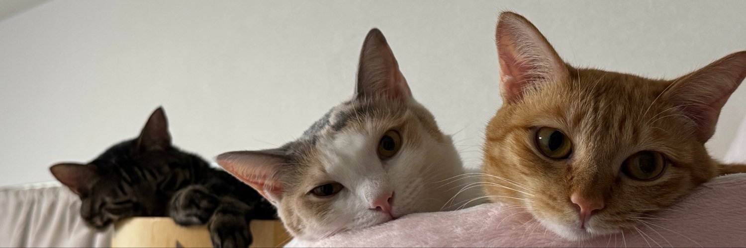 honnorino's profile banner image