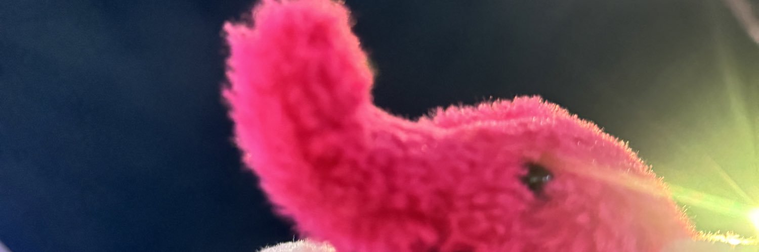 NoCPR's profile banner image