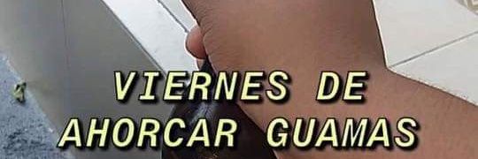 El_Bonice's profile banner image