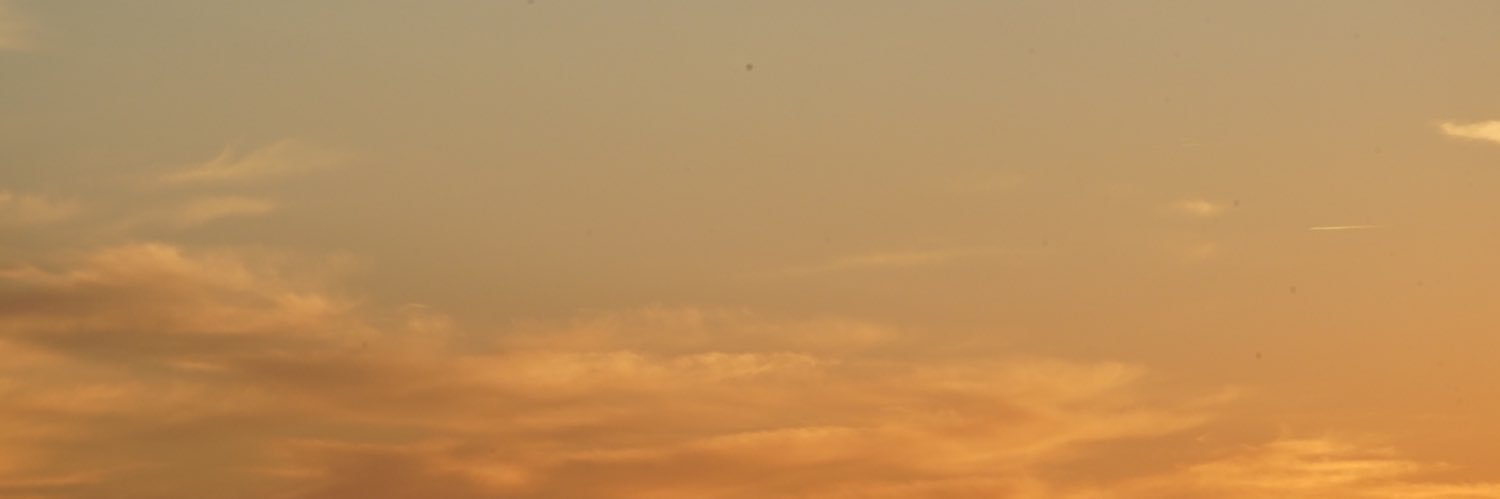 vivifr's profile banner image