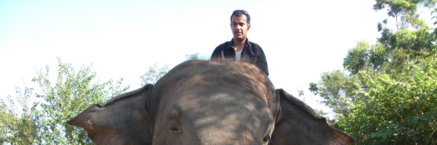 sahaab500's profile banner image