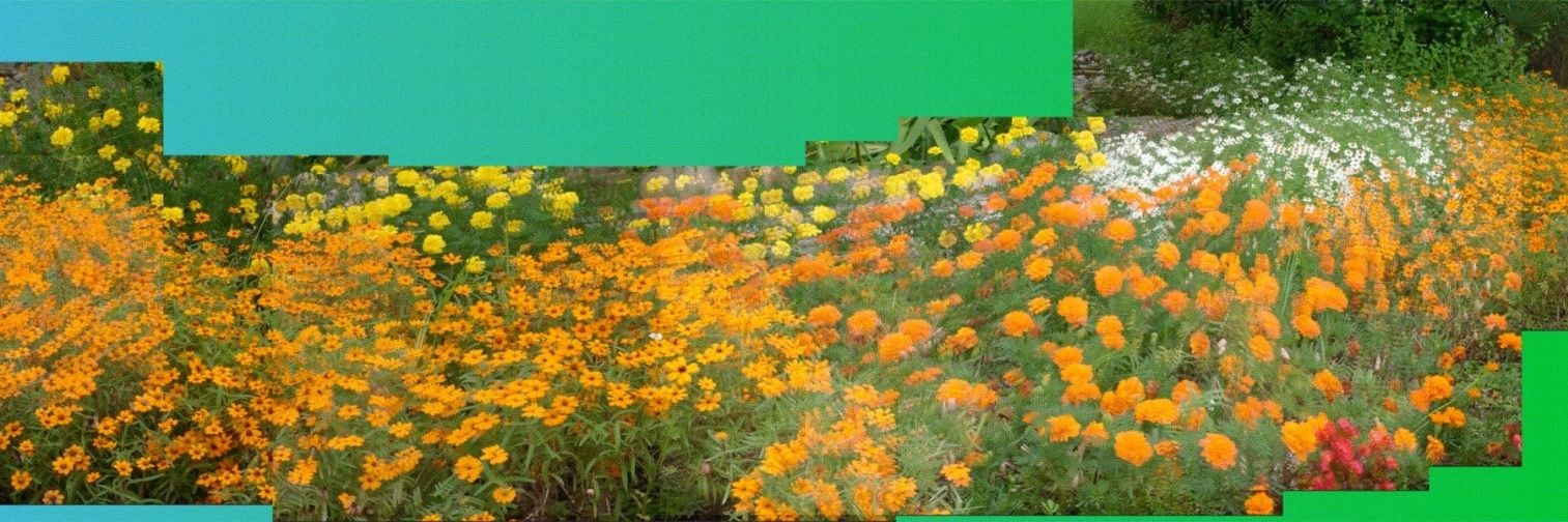 ruefband's profile banner image