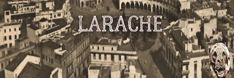 🇲🇦 كمال بدر الدين banner