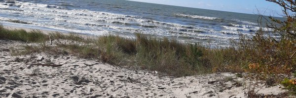 sambukanetvoja Profile Banner
