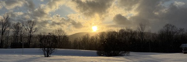 OldHollowTree Profile Banner