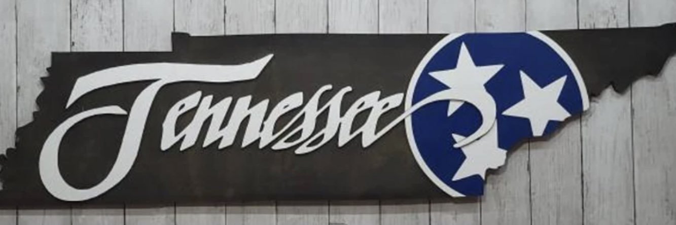 CAMinTenn banner