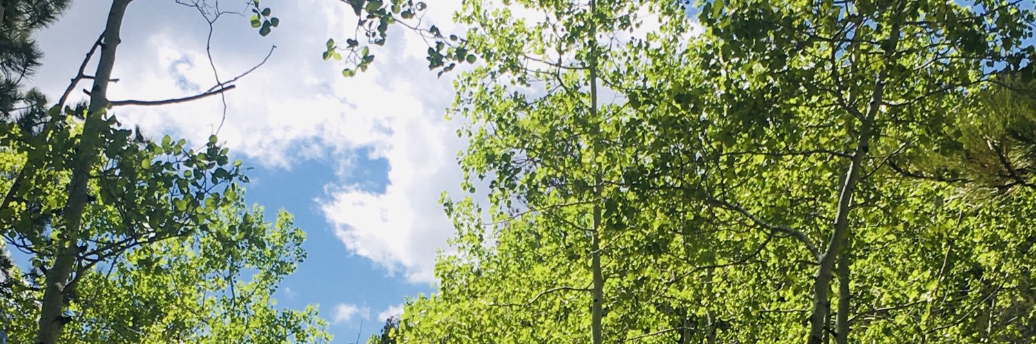 MannyAyNV's profile banner image