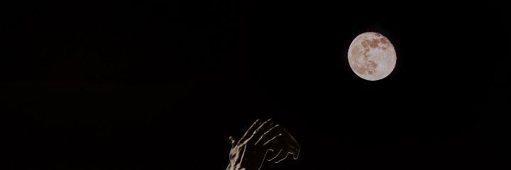LeG🇨🇮🇨🇮🇨🇮🇨🇮🔨🐘 banner