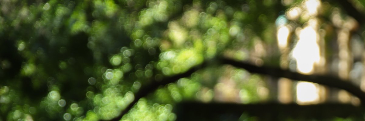 uwanaevers's profile banner image