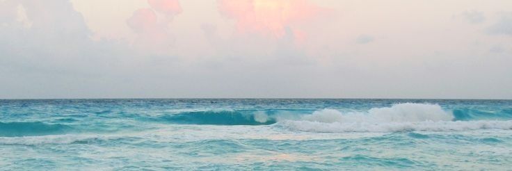 marscalerandi's profile banner image