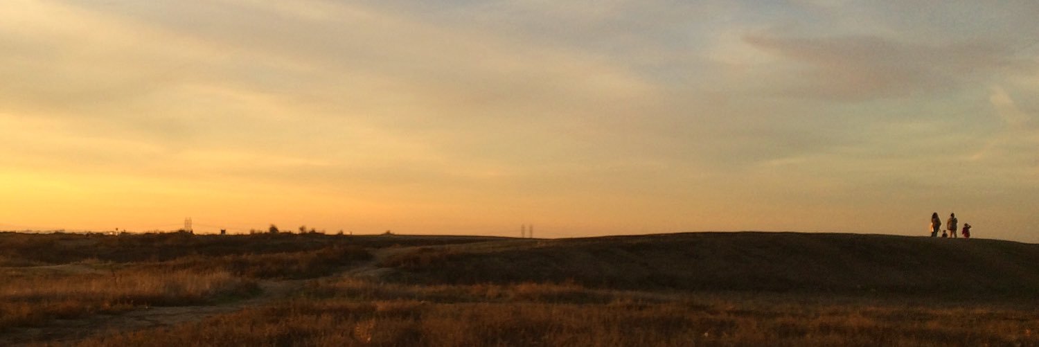 altlindy's profile banner image