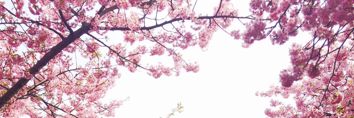 ako_tojo's profile banner image