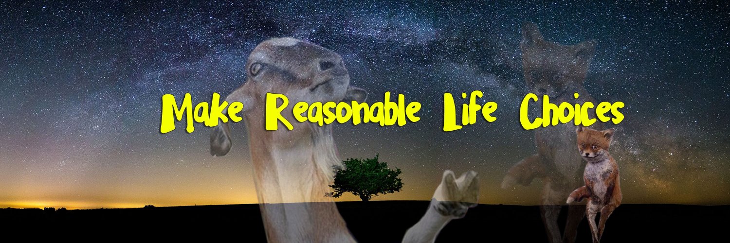mazzei's profile banner image