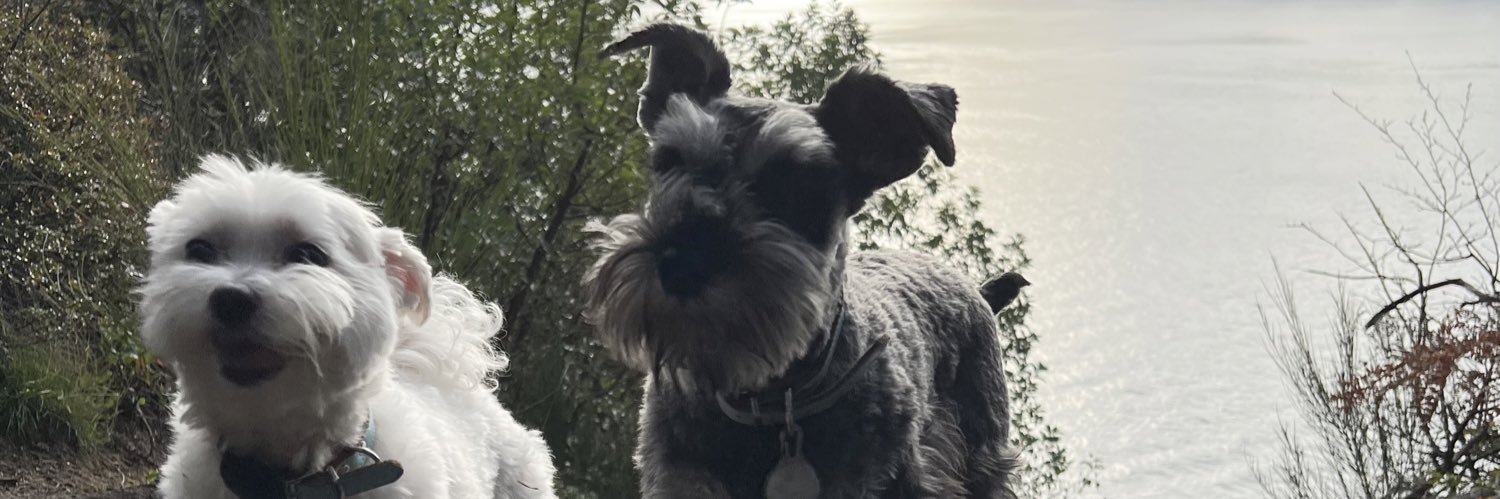 austinyoox's profile banner image